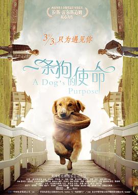 久久综合丝袜日本网