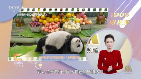 五月丁香啪啪