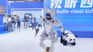 特黄特级高清免费视频毛片